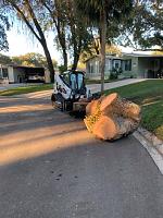 skidsteer3-jpg