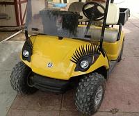 lashes-jpg