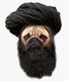 gyroscopic-avatar-afghanpug-jpg