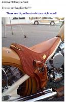 security-saddle-jpg