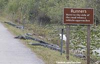 crocs-road-jpg