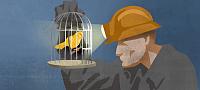 canary_art22-jpg