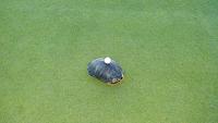 2013-06-10_20-37-36_227-jpg