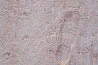 100_2791-jpg