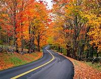 fall-jpg