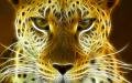 Lady Leopard Designs's Avatar