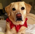 CrunchyCrackers's Avatar