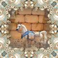 Equestrian's Avatar