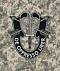 De Oppresso Liber's Avatar