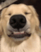 bonnieshores's Avatar