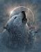 cwwilber@gmail.com's Avatar