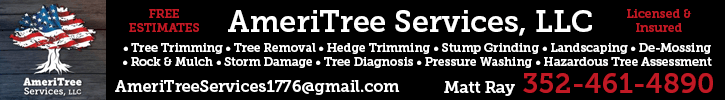 AmeriTree Services