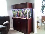 Fish Tank