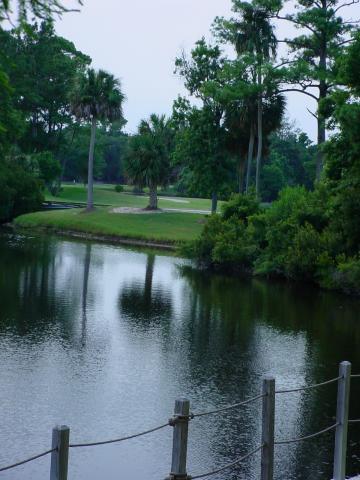 Lagoon and Golf View