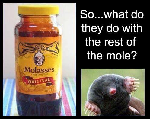molasses