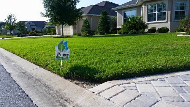 green smiths lawn and flag