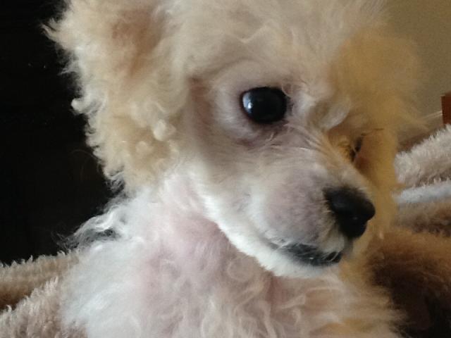 image
Lucy