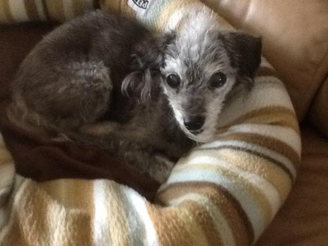 image
Mr. Buster age 16