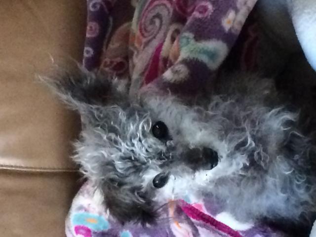 image
Mr. Buster age 18