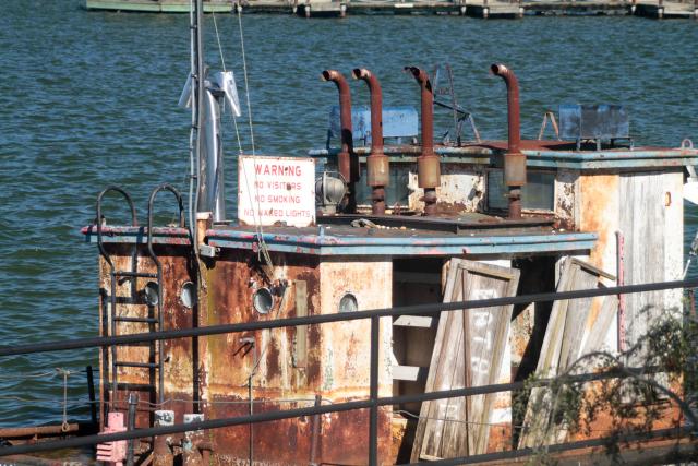 Lake Sumter relic