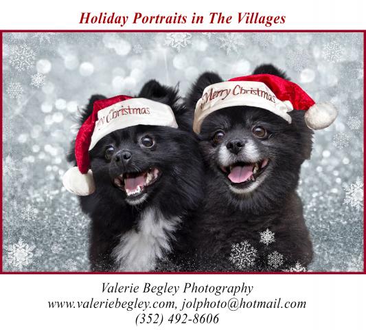 Holiday Pet Portraits by Valerie Begley