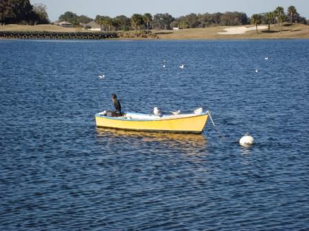 The Birds of Lake Sumter