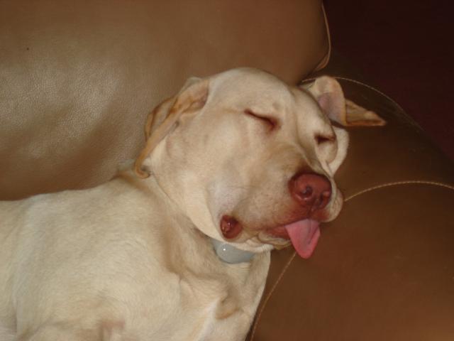 If I could only sleep this sound every night!