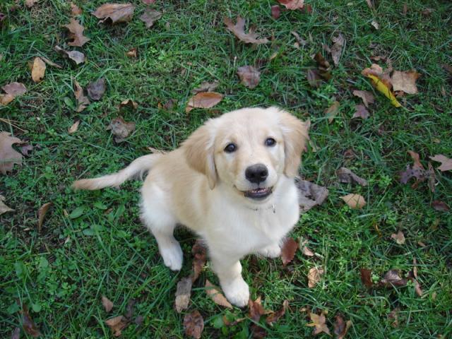 Chloe