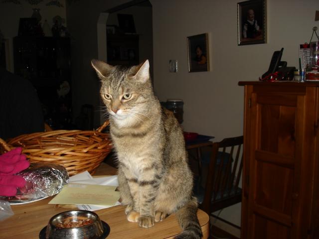 Tiggy