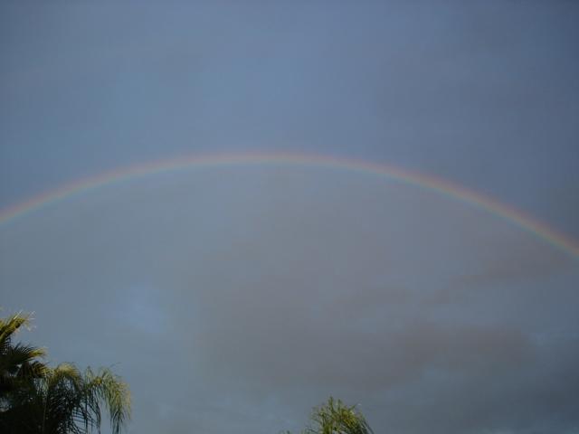 Rainbow