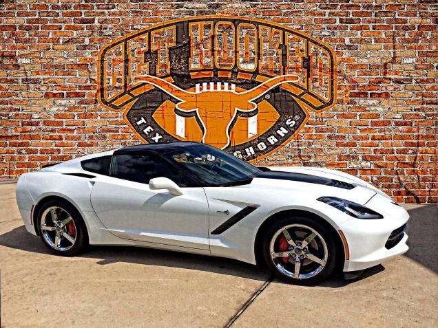 Stingray and Longhorns