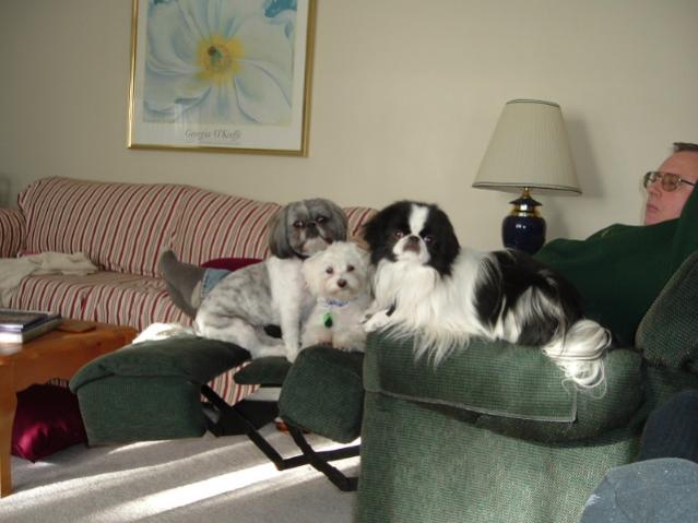Picture 031