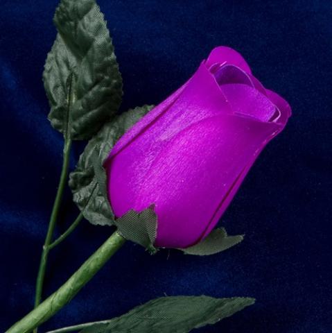 A purple rose, simply because I like it.