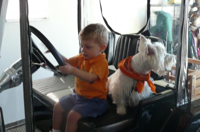 Golf Cart theif