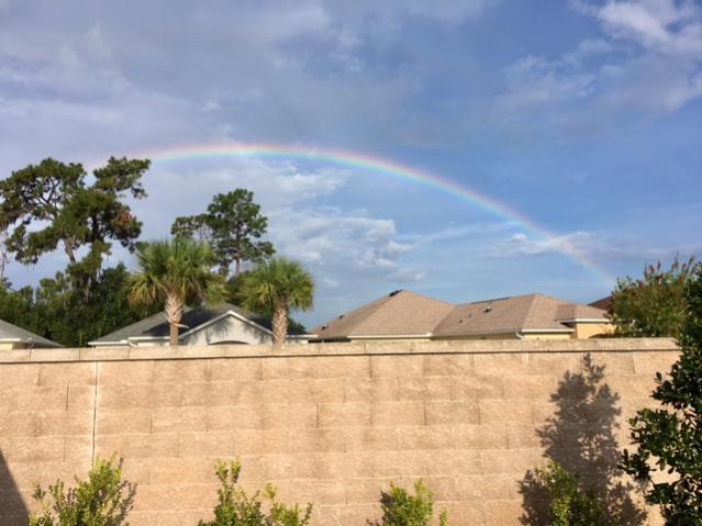 Rainbows and more Rainbows!