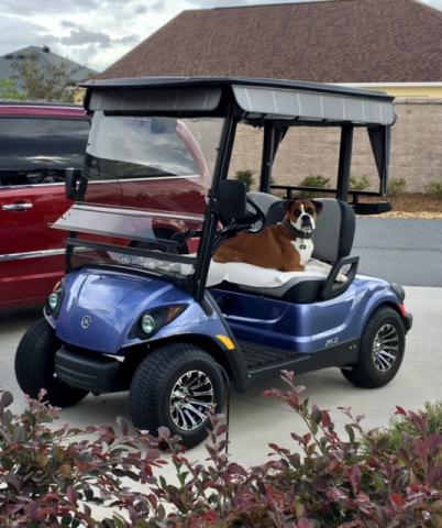 Legend wants a ride.