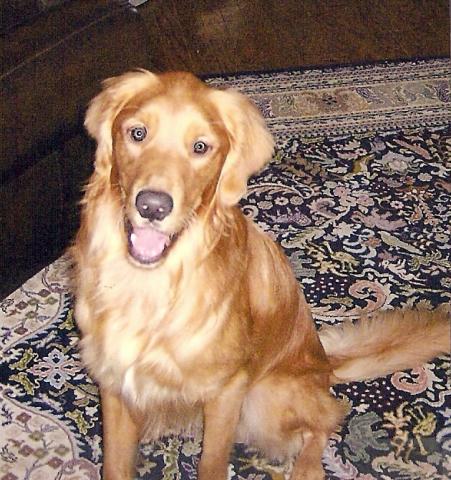 Finnegan Martin