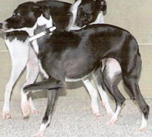 Gianna & Alesio Schlapak