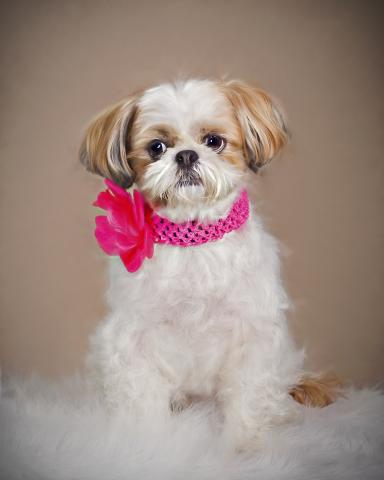 Adorable Maddie