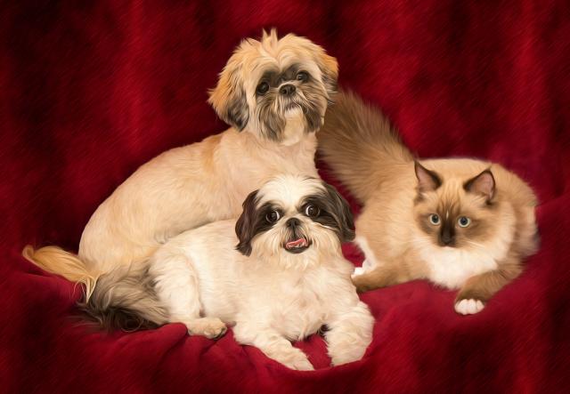 Family Portrait