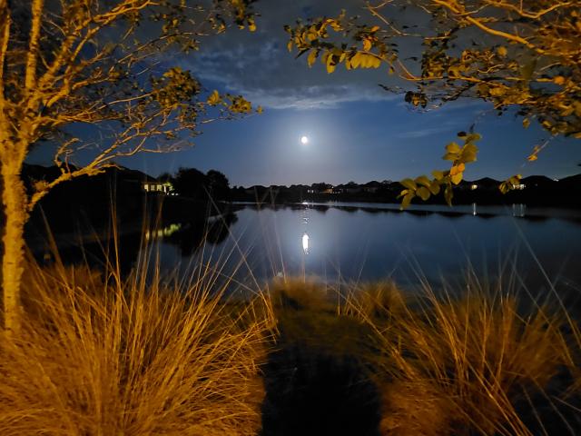 The Hunter's Moon Rising