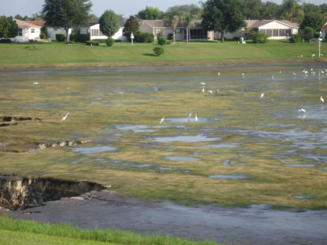 Alhamabra sink hole 002