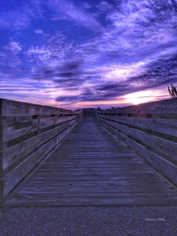 Sunrise at the nature preserve