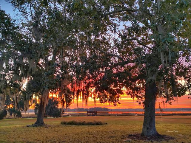 Warm colors at sunrise