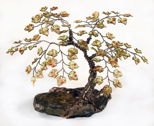 Oak Bonsai