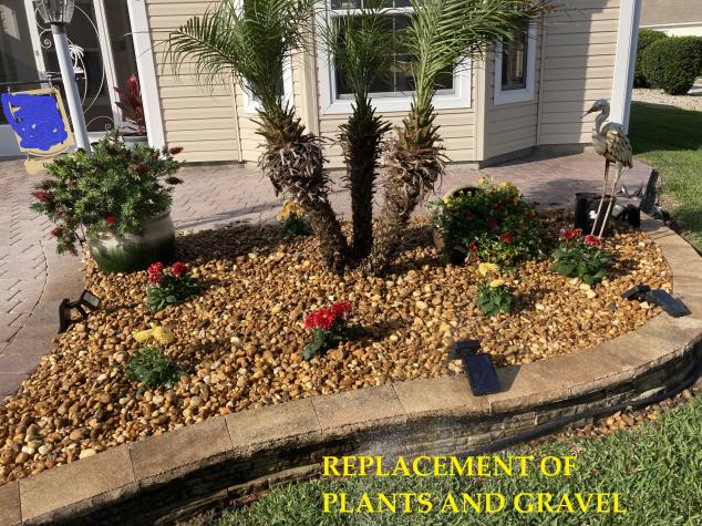 Planting new flowers after cold winter damage. And installing new gravel