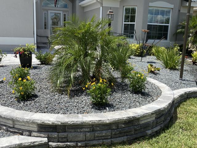 After picture
Replacement of robellini palm and flowers