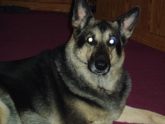 My Toby!