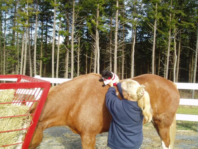 Lexi getting a ride on Rusty..