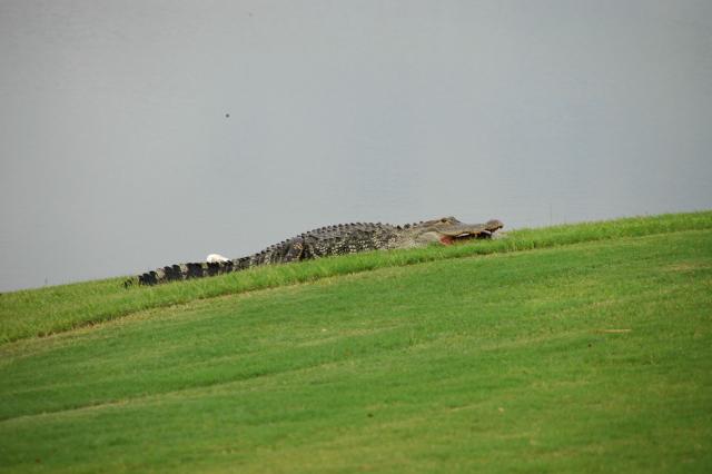 DSC 1159